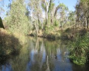Barratta Creek- photo courtesy Aaron Davis TropWATER